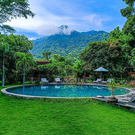 Alaya Ecolodge Pemuteran Zewnętrze zdjęcie
