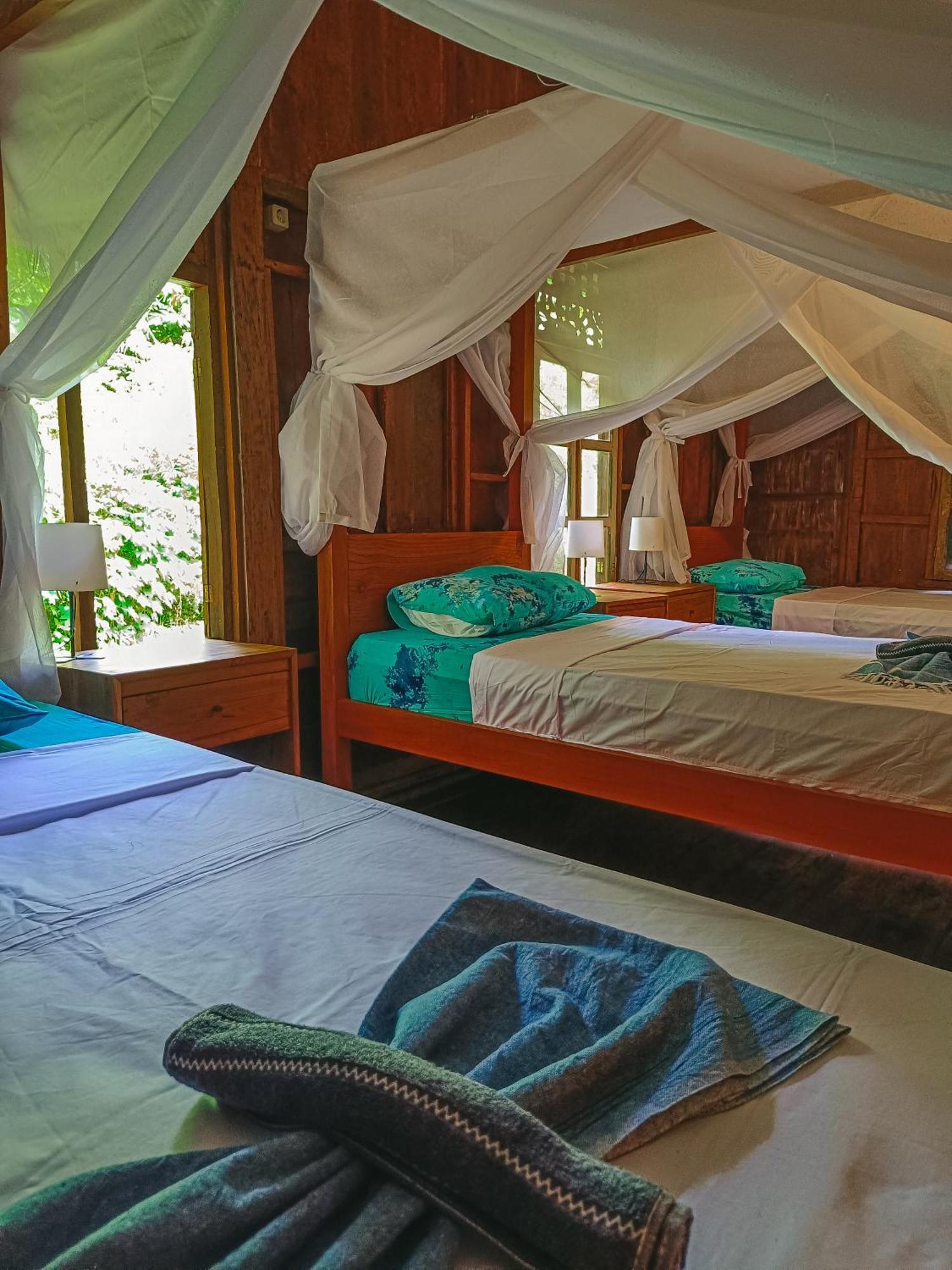 Alaya Ecolodge Pemuteran Zewnętrze zdjęcie