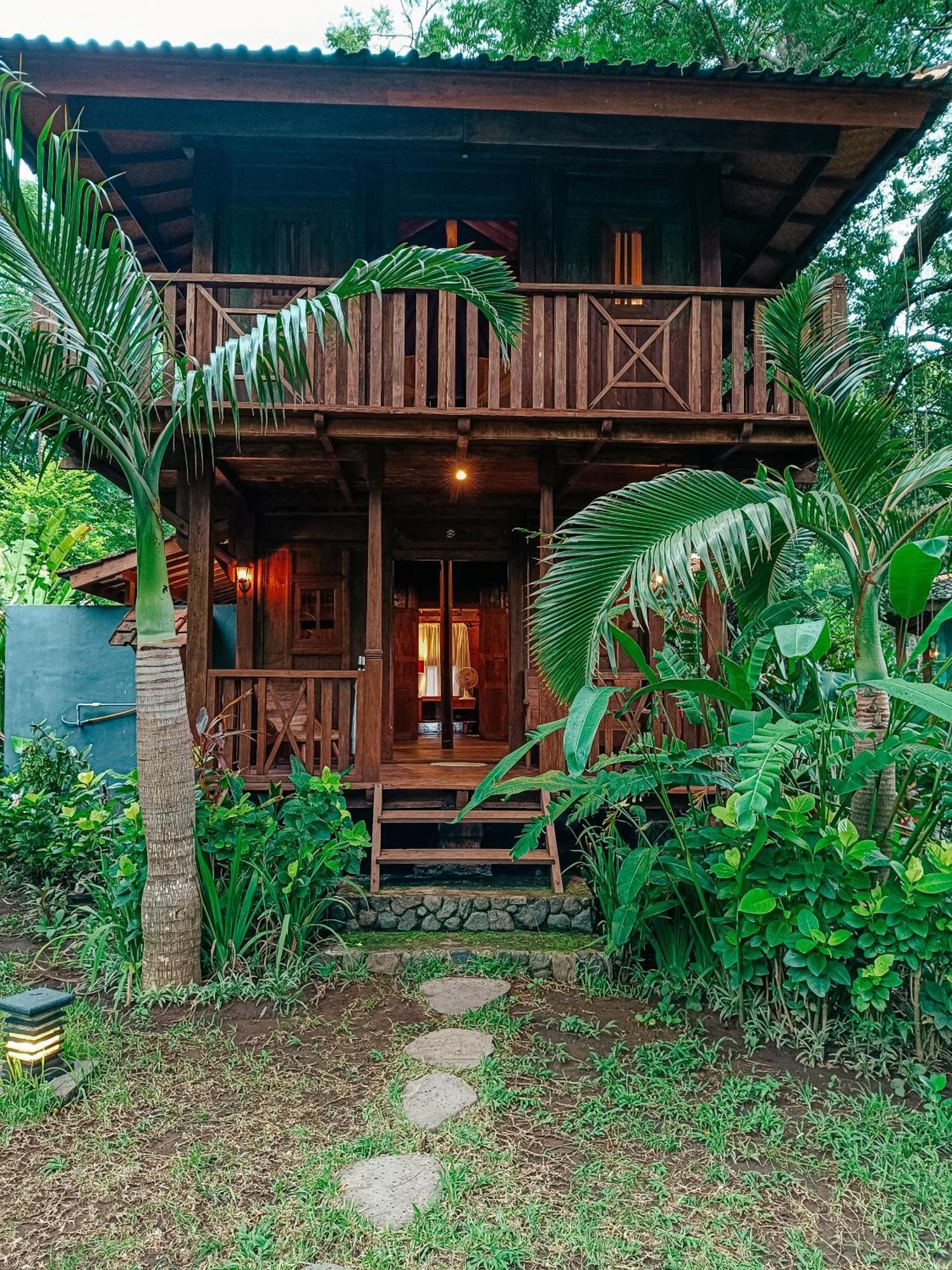 Alaya Ecolodge Pemuteran Zewnętrze zdjęcie