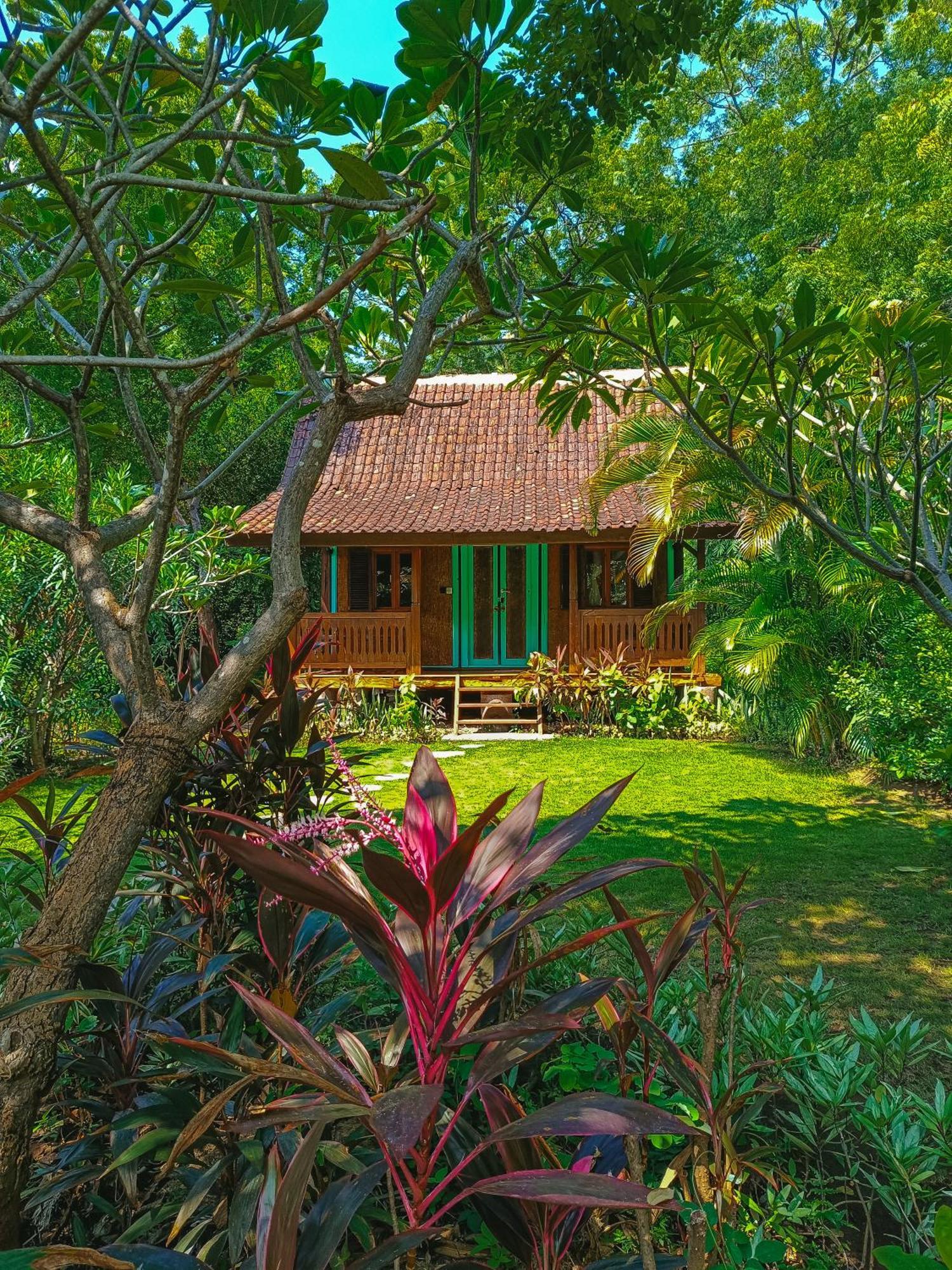 Alaya Ecolodge Pemuteran Zewnętrze zdjęcie