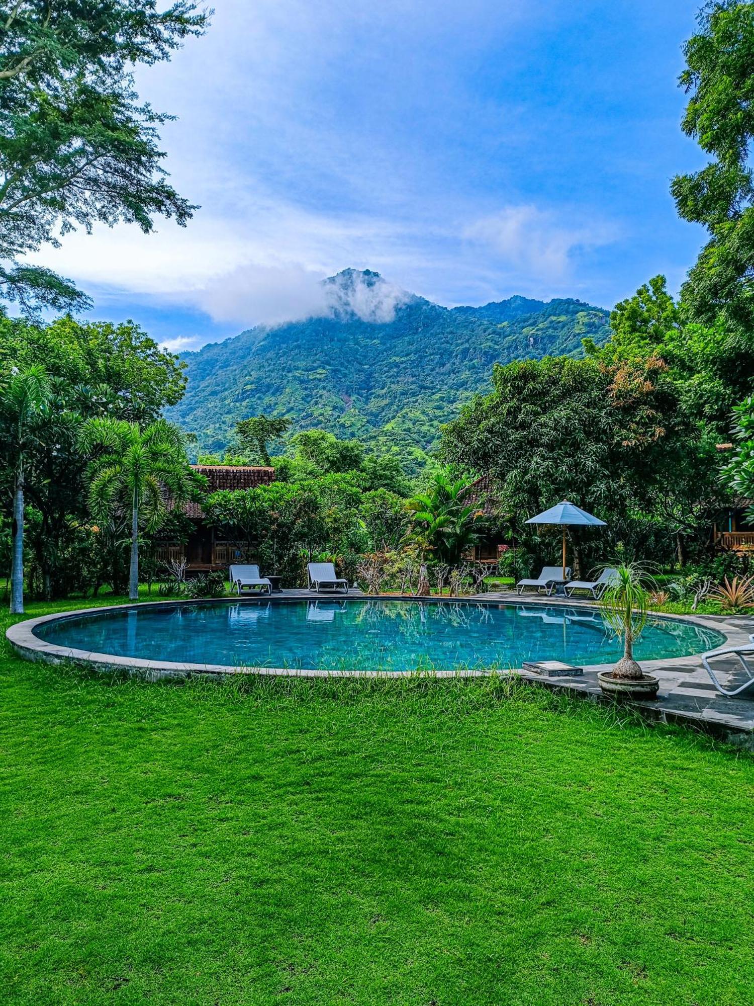 Alaya Ecolodge Pemuteran Zewnętrze zdjęcie