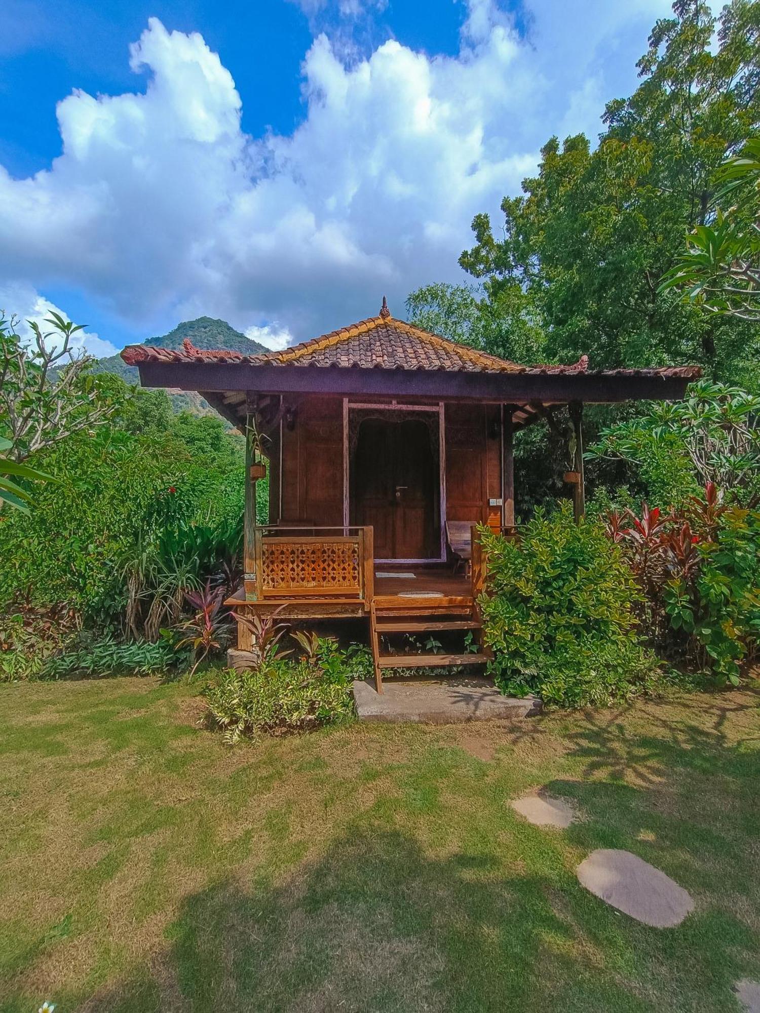 Alaya Ecolodge Pemuteran Zewnętrze zdjęcie