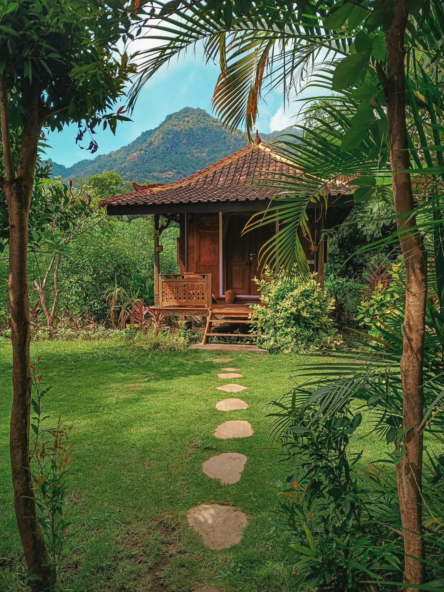 Alaya Ecolodge Pemuteran Zewnętrze zdjęcie