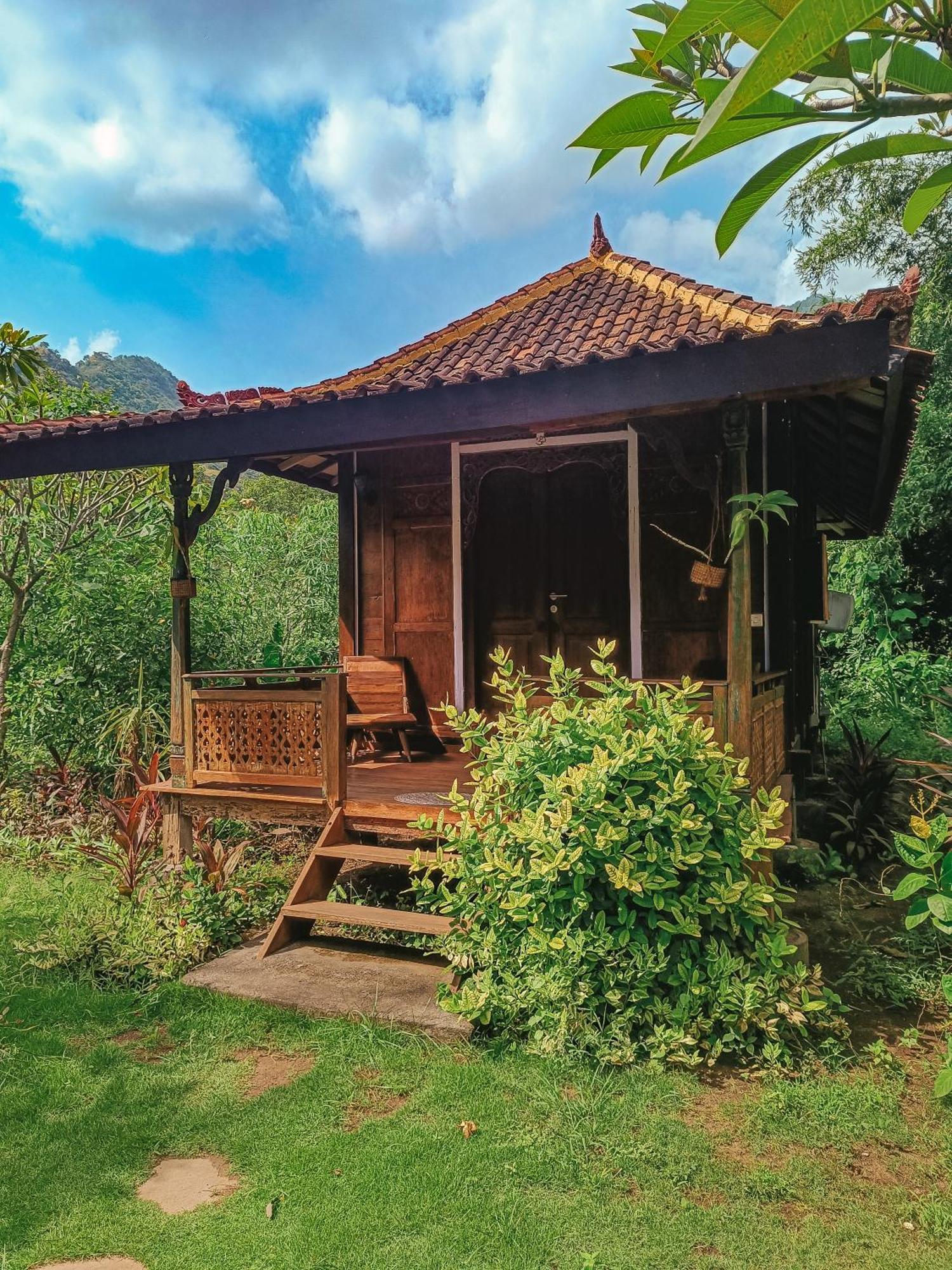 Alaya Ecolodge Pemuteran Zewnętrze zdjęcie