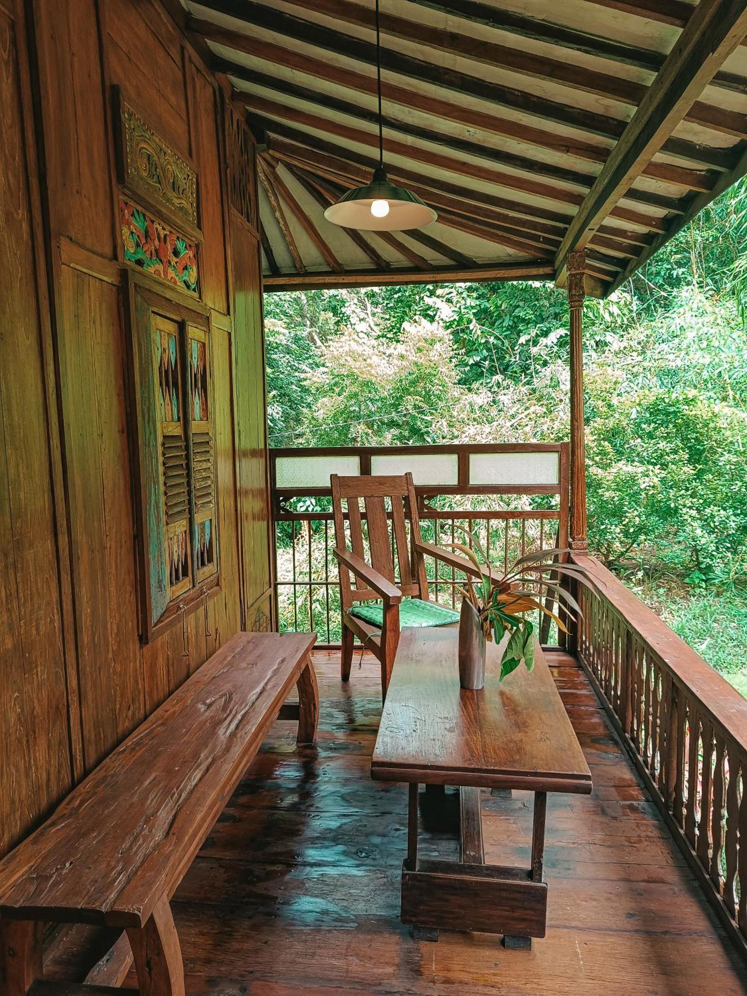 Alaya Ecolodge Pemuteran Zewnętrze zdjęcie