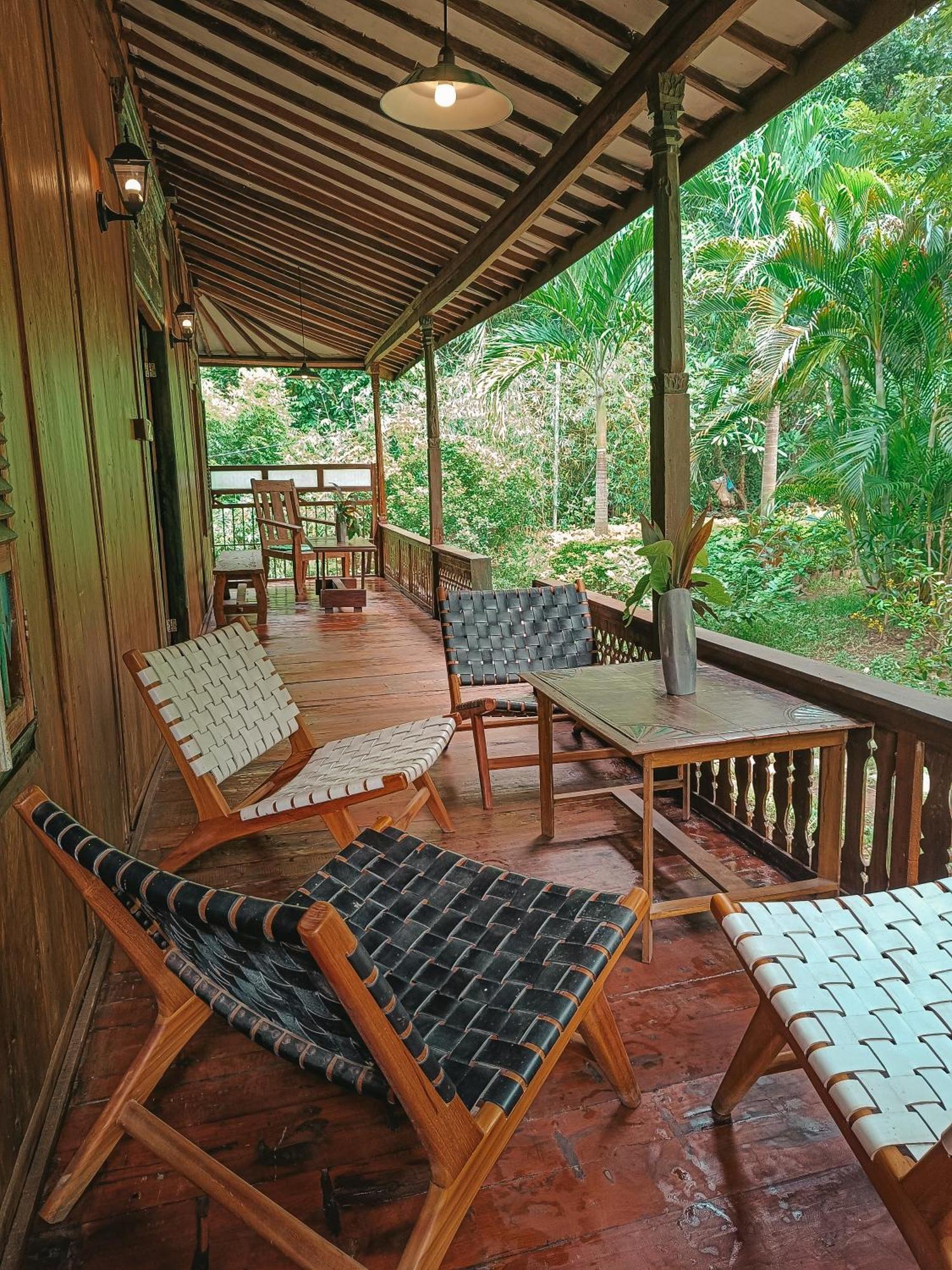 Alaya Ecolodge Pemuteran Zewnętrze zdjęcie