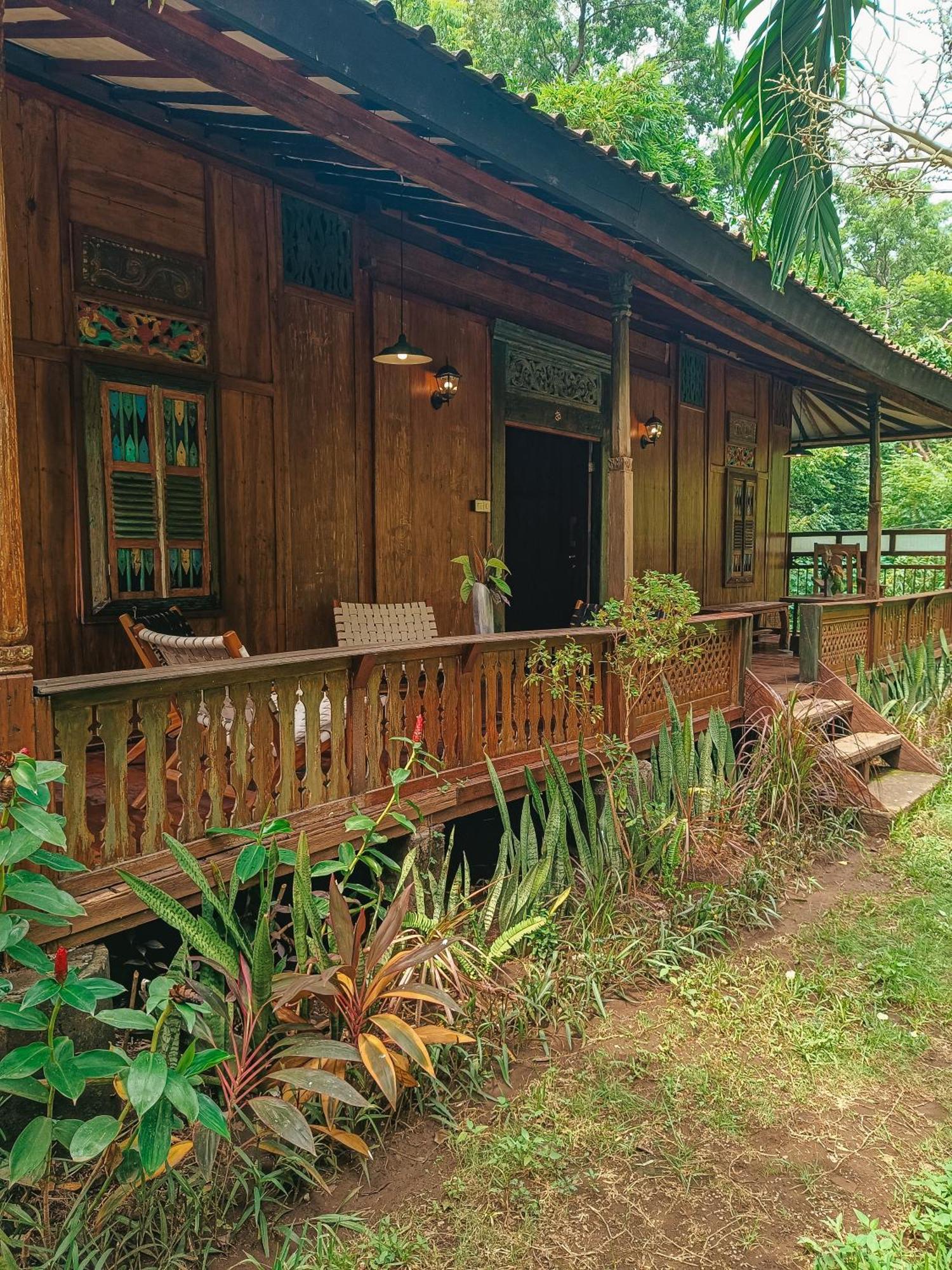 Alaya Ecolodge Pemuteran Zewnętrze zdjęcie
