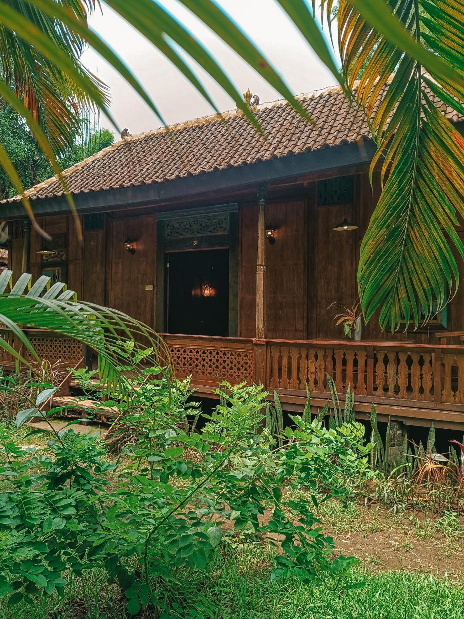 Alaya Ecolodge Pemuteran Zewnętrze zdjęcie