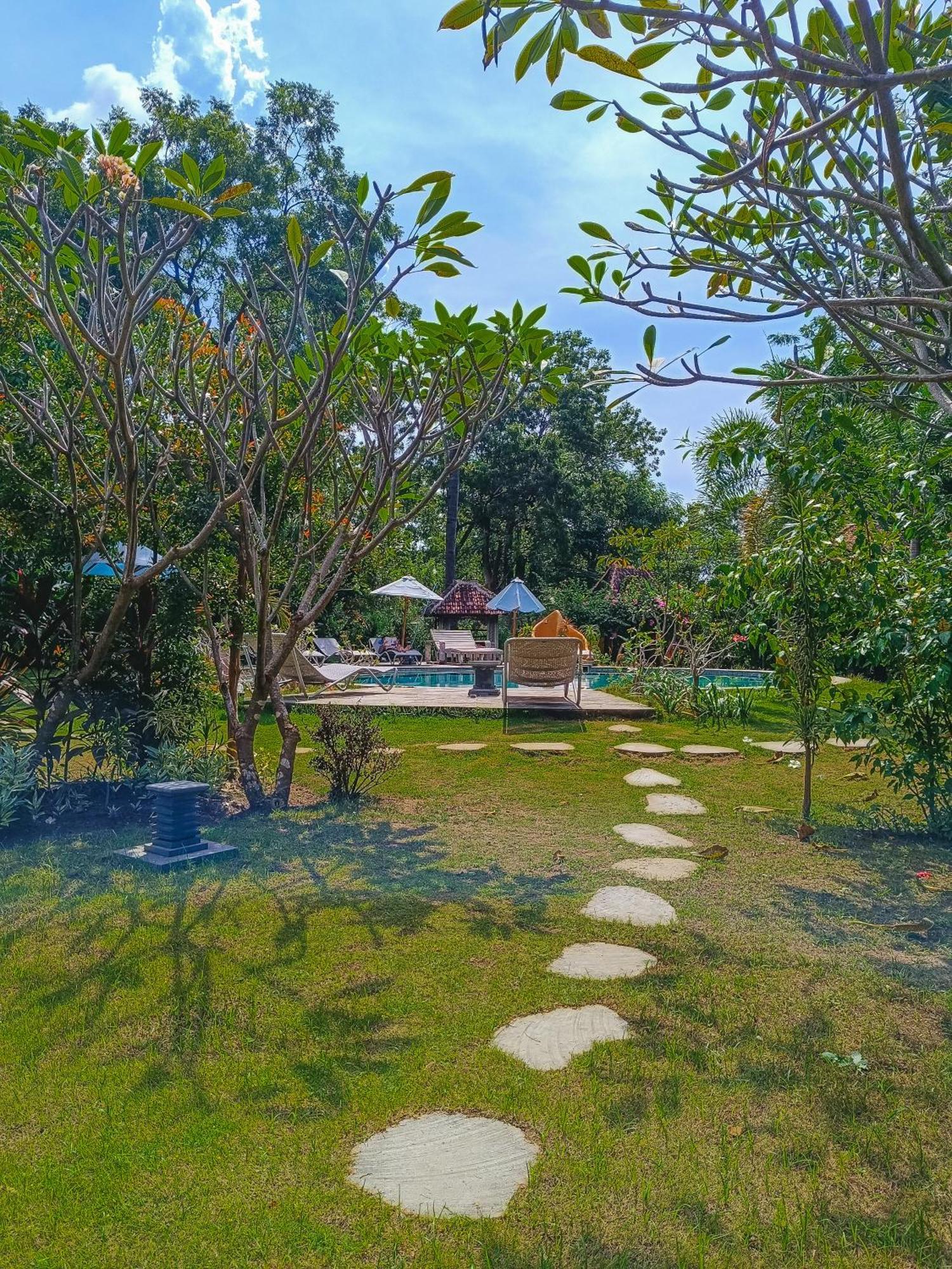 Alaya Ecolodge Pemuteran Zewnętrze zdjęcie