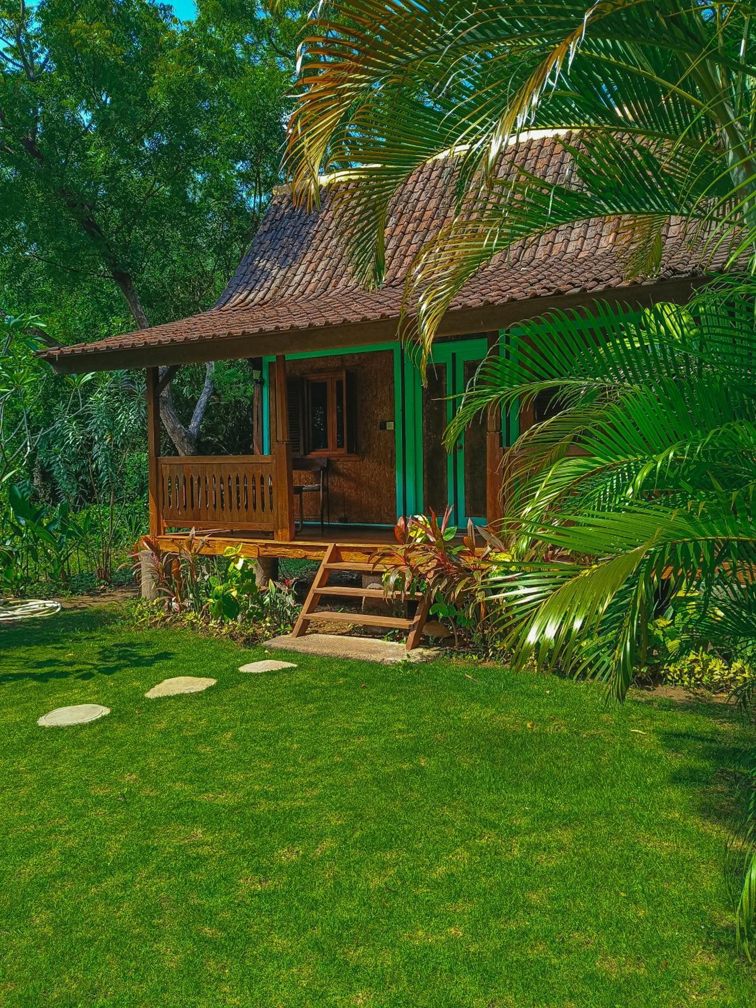 Alaya Ecolodge Pemuteran Zewnętrze zdjęcie