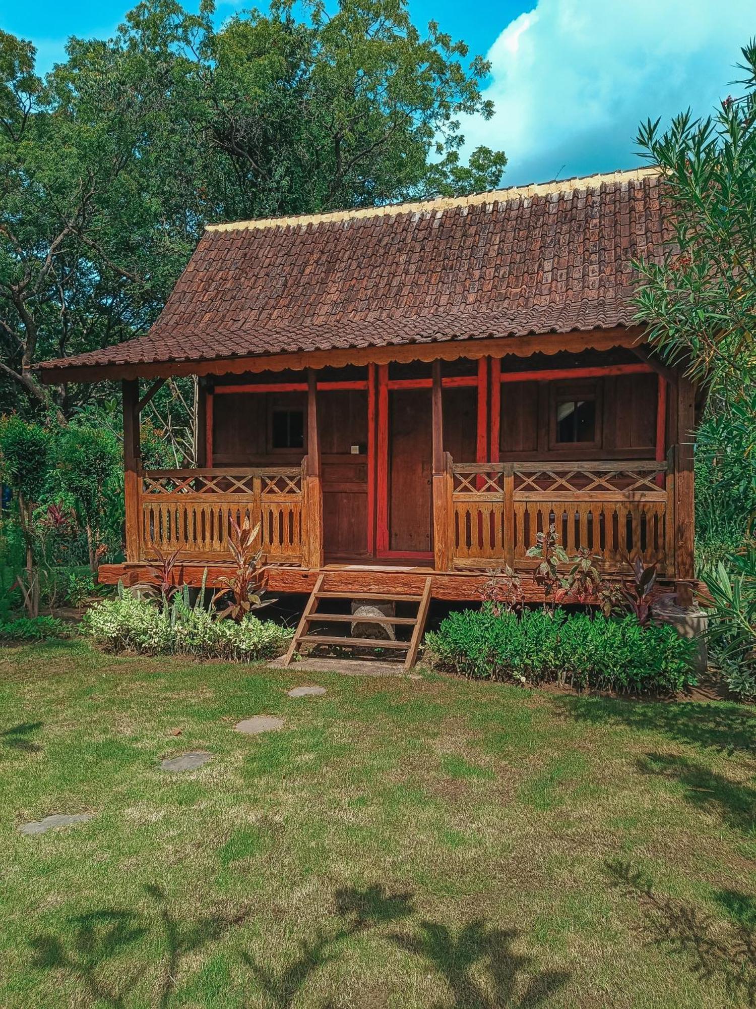 Alaya Ecolodge Pemuteran Zewnętrze zdjęcie